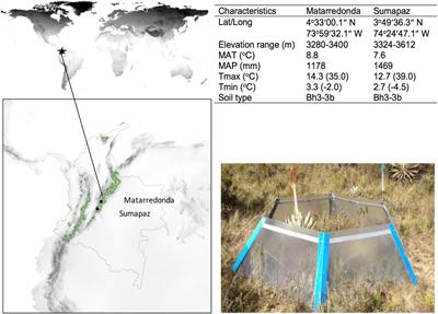 Homeostatic Response to Three Years of Experimental Warming Suggests High Intrinsic Natural Resistance in the Páramos to Warming in the Short Term